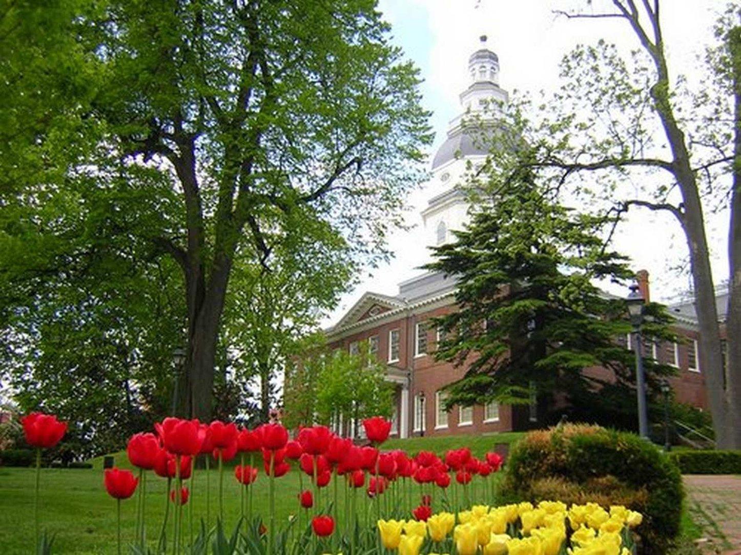 Hampton Inn & Suites Annapolis Dış mekan fotoğraf